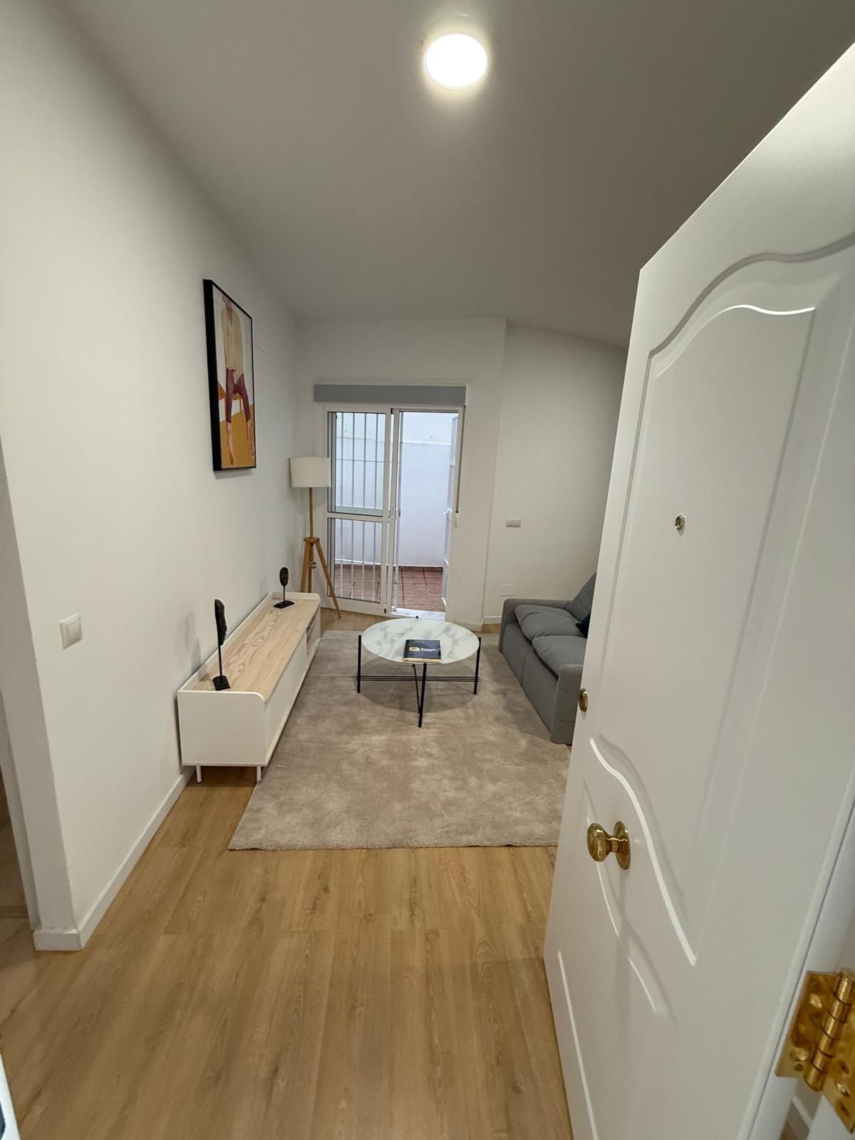 Living room of Flat to rent in Málaga Capital  with Furnished