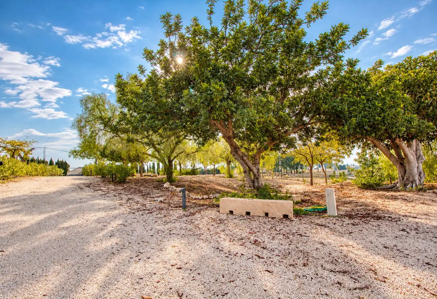 Villa à vendre à Albatera, imagen 6