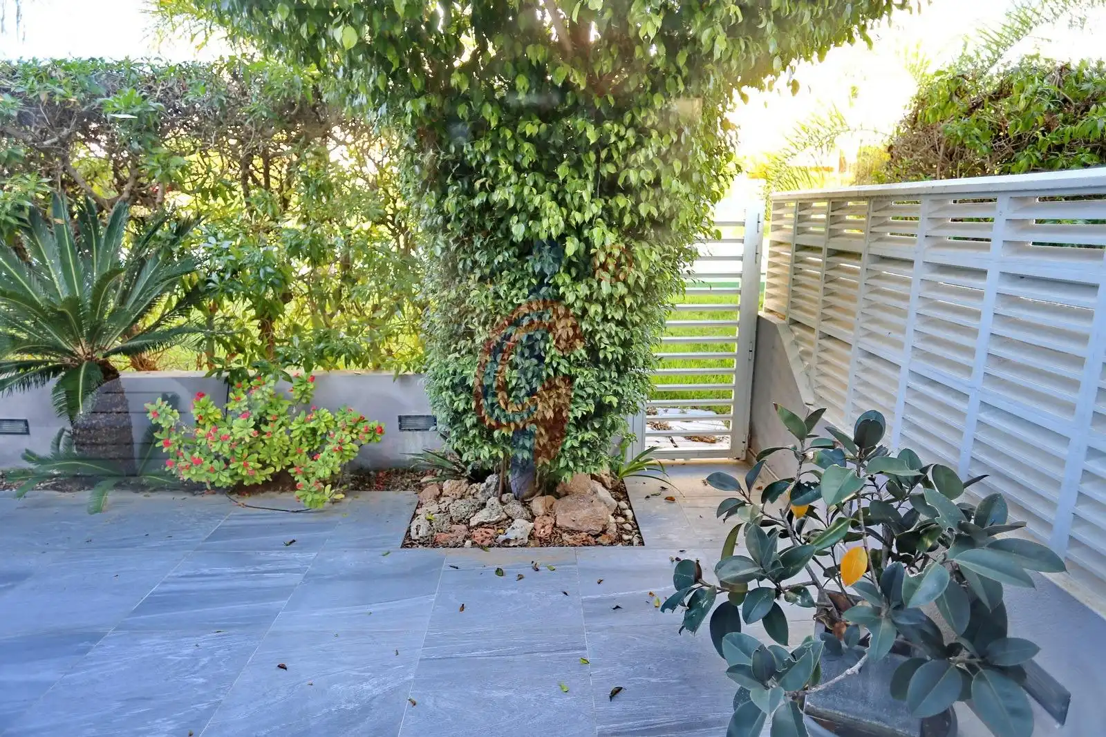 Jardín de Casa o chalet en venta en Guardamar del Segura con Aire acondicionado, Jardín privado y Terraza