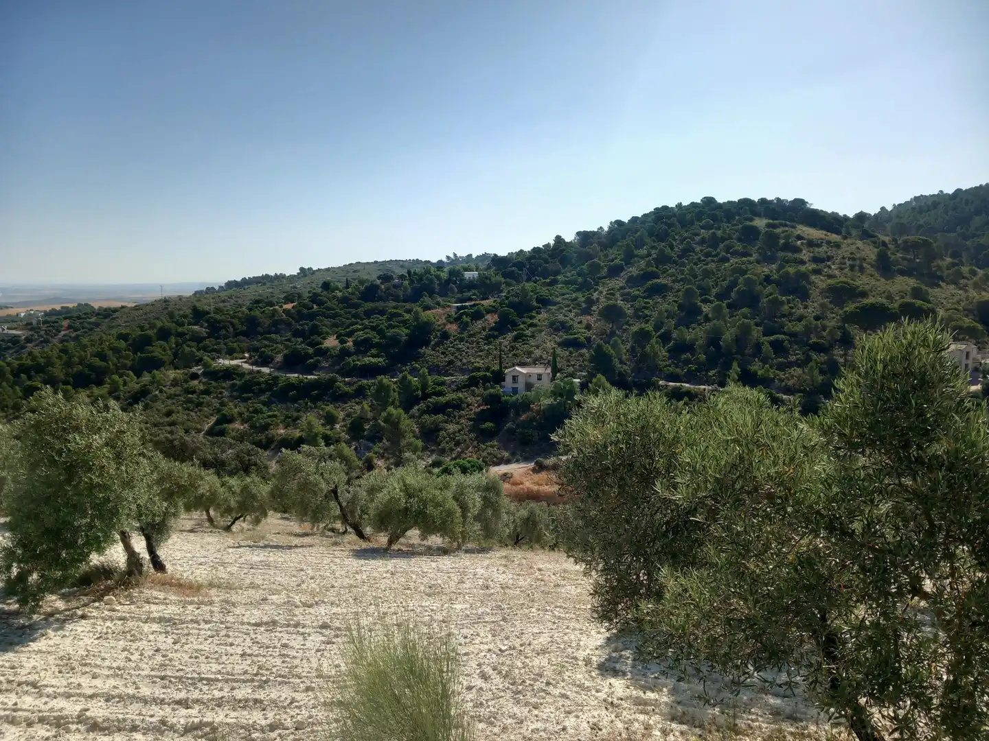 Finca rústica en venta en San Antonio O Guardarropa Pol 115.par 8,9 y 15, Osuna