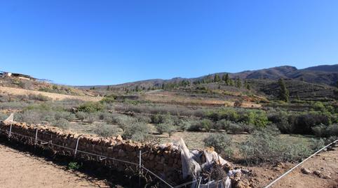 Foto 2 de Finca rústica en venta en Guía de Isora interior, Santa Cruz de Tenerife