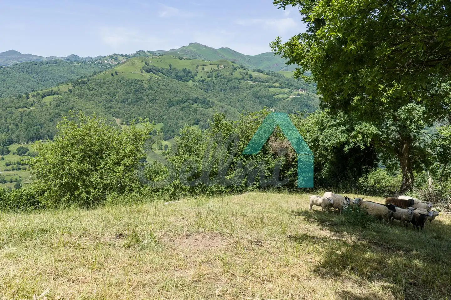 Casa o chalet en venta en Laviana con Jardín privado, Parquet y Terraza