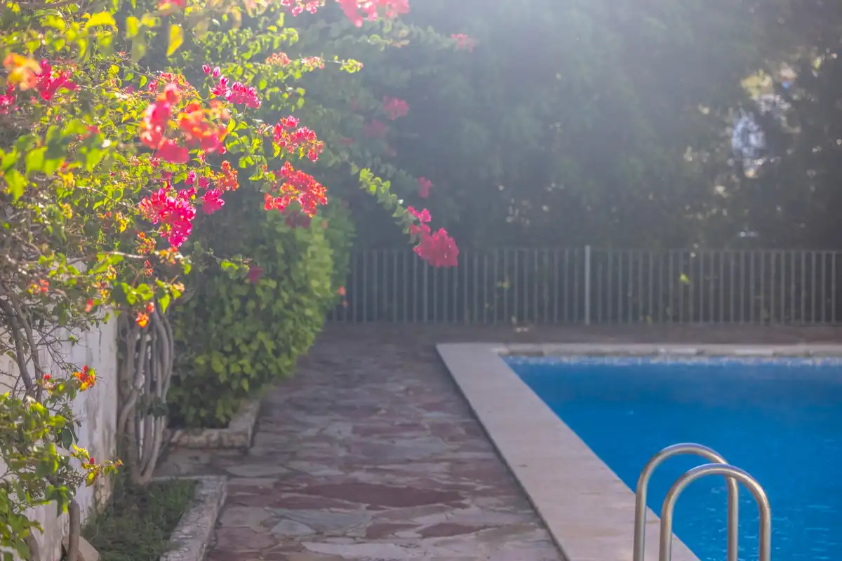 Swimming pool of Apartments for sale in Dénia  with Air Conditioner and Community pool