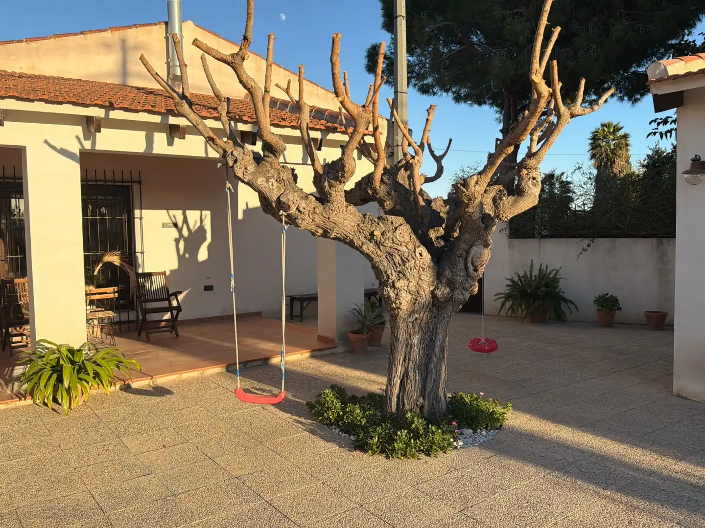 Maison avec piscine à vendre à Dolores, imagen 4
