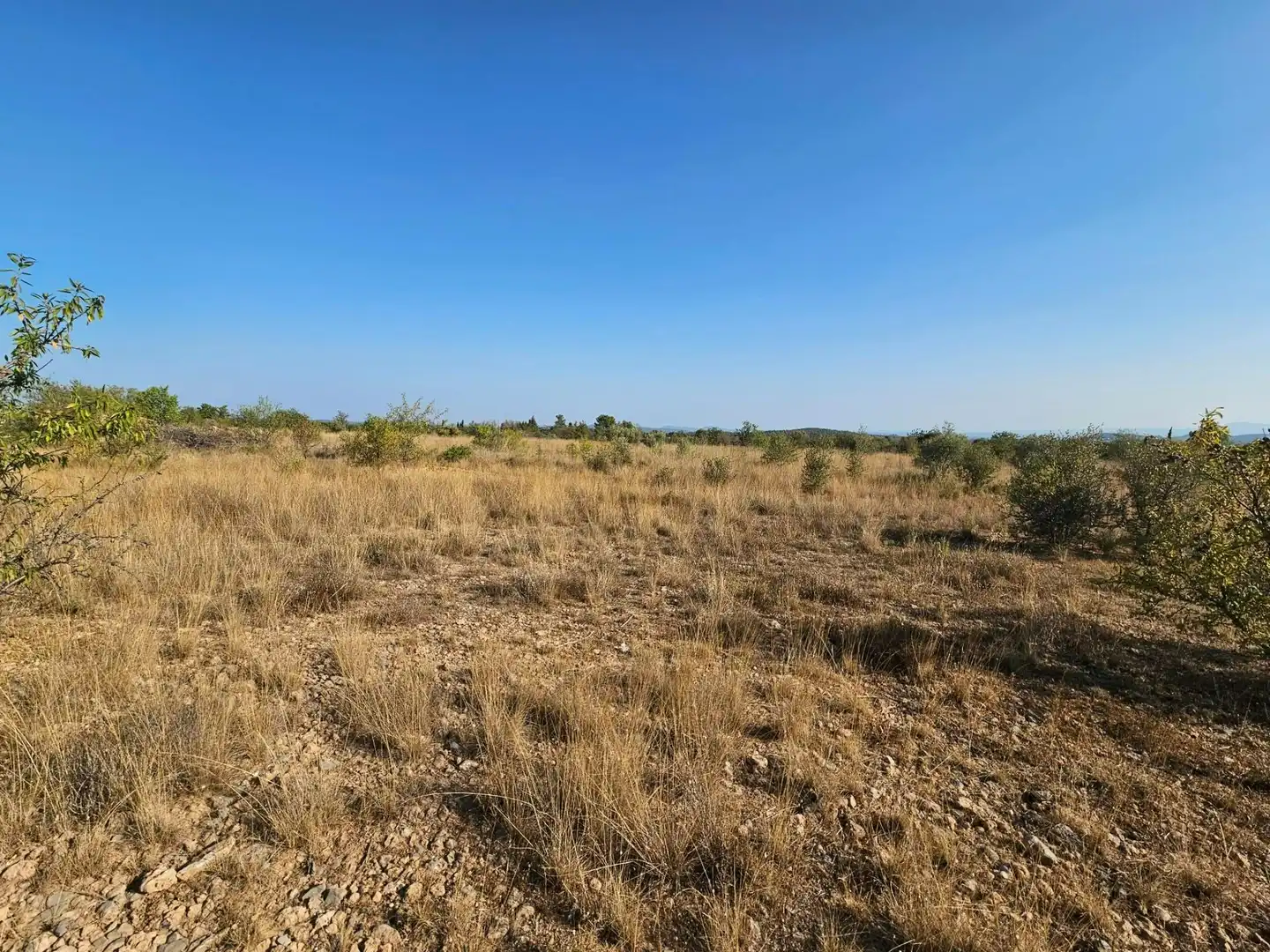 Terrain rustique à vendre à Urbanizaciones, imagen 15