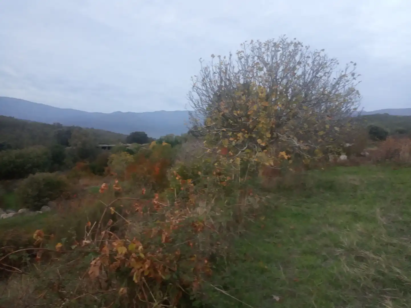 Terreni e lotti in vendita a Jarandilla de la Vera, imagen 3