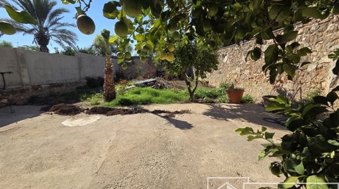 Foto 4 de Finca rústica en venda a Alcàntera de Xúquer, Valencia