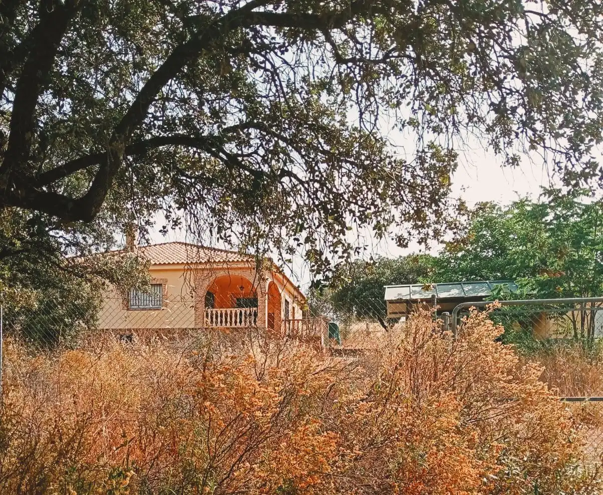 Exterior view of Houses for sale in Mestanza