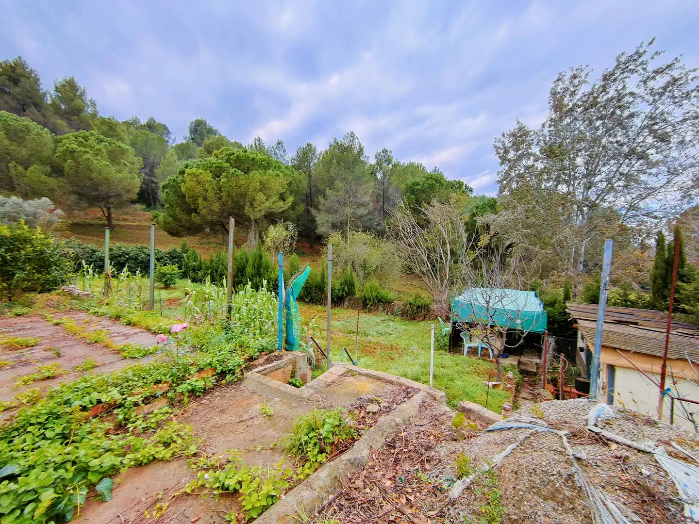 Residential land for sale in Carrer Tibidabo 5, imagen 5