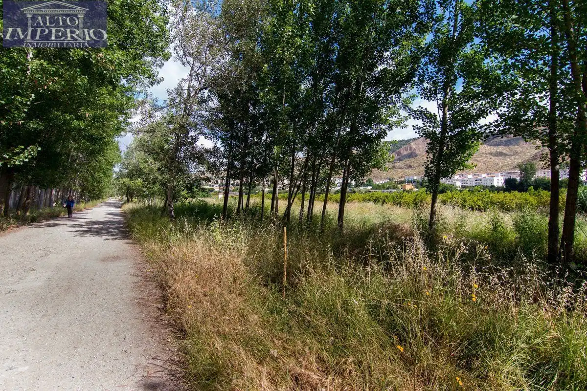 Vista exterior de Finca rústica en venta en Granada