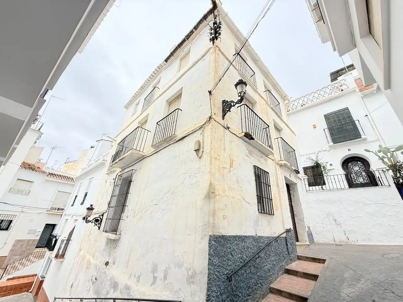 Vista exterior de Finca rústica en venta en Torrox