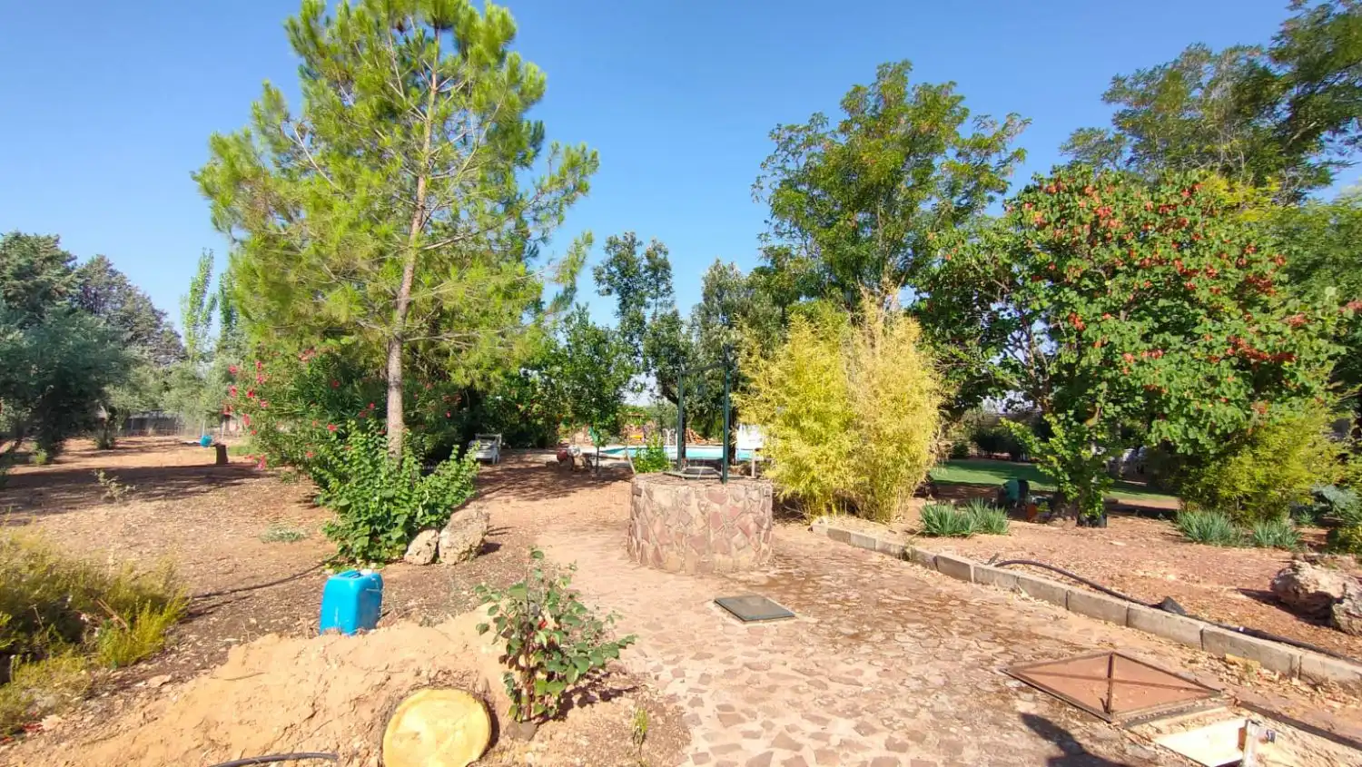 Casa rústica en venda a Valdepeñas, imagen 29