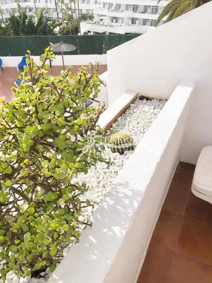 Terrasse von Wohnung zum Verkauf in Adeje mit Terrasse und Möbliert