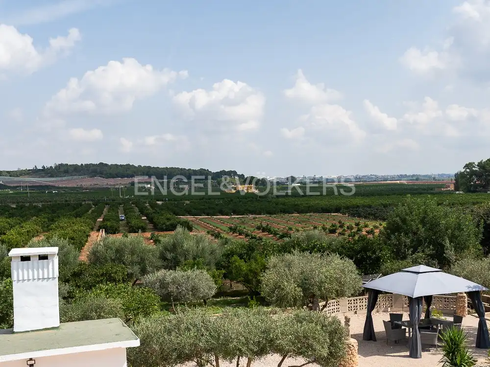 Terrassa de Casa o xalet en venda en Alberic amb Aire condicionat, Calefacció i Jardí privat