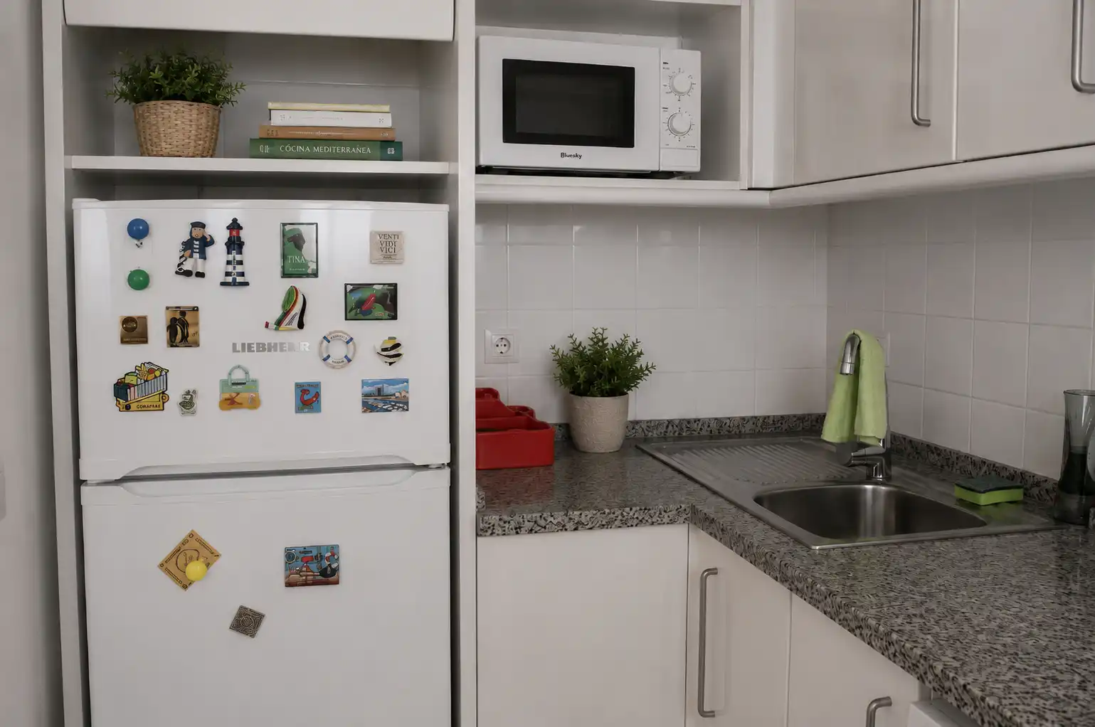 Apartament amb terrassa de lloguer a Passeig del Mar 3, imagen 7