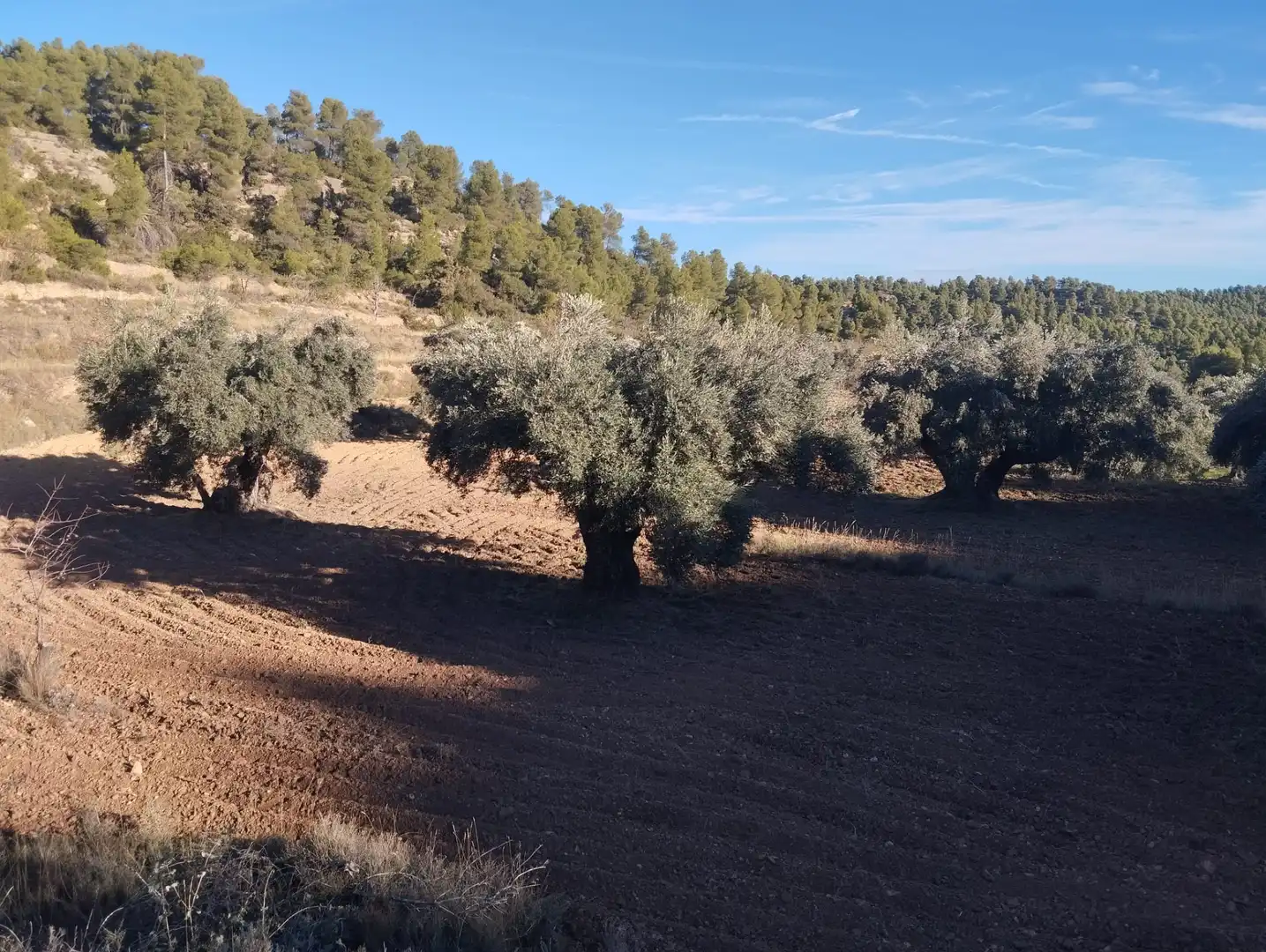 Terreni e lotti in vendita a La Fresneda, imagen 8