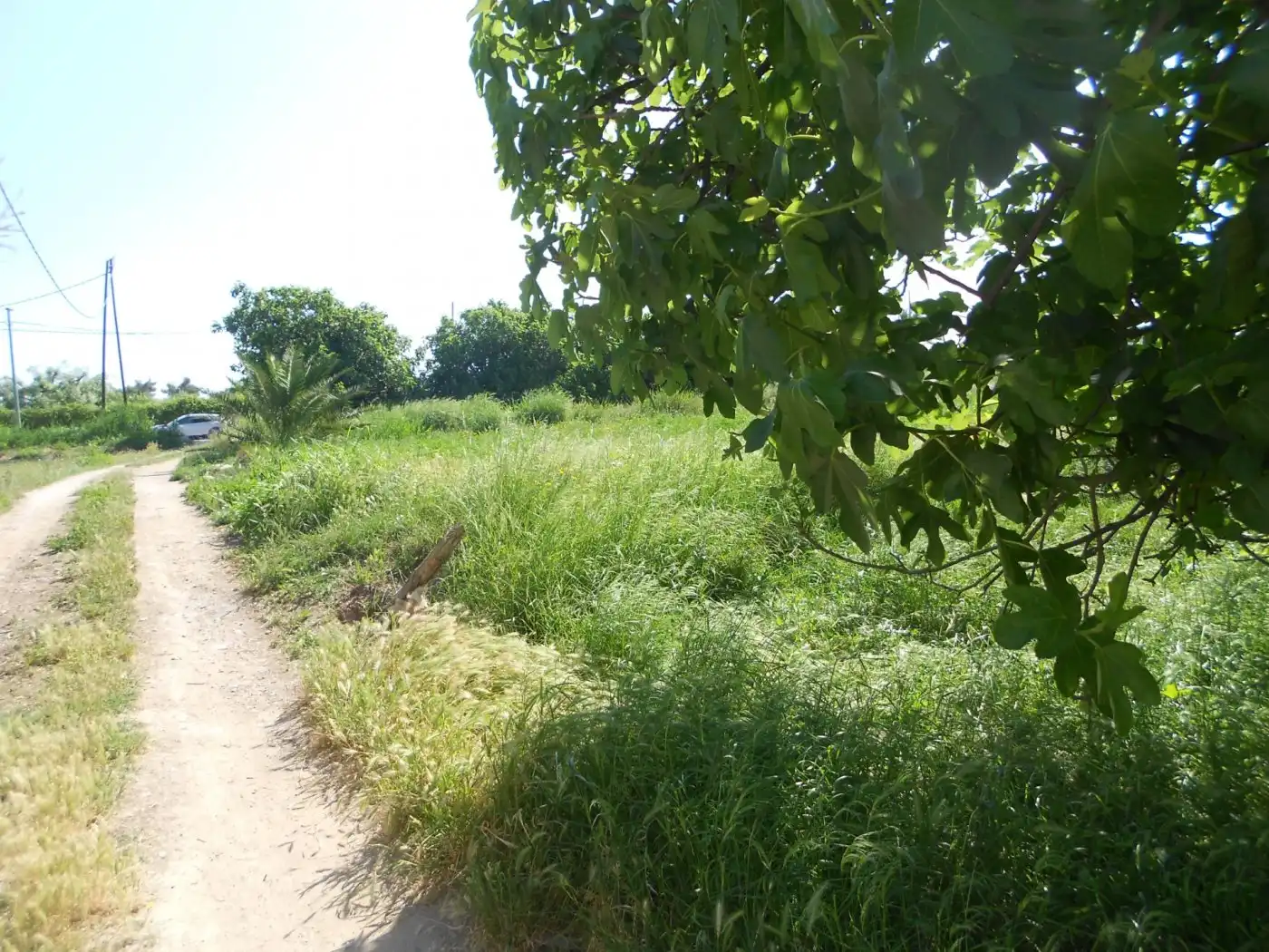 Terreny residencial en venda a El Llano, imagen 12