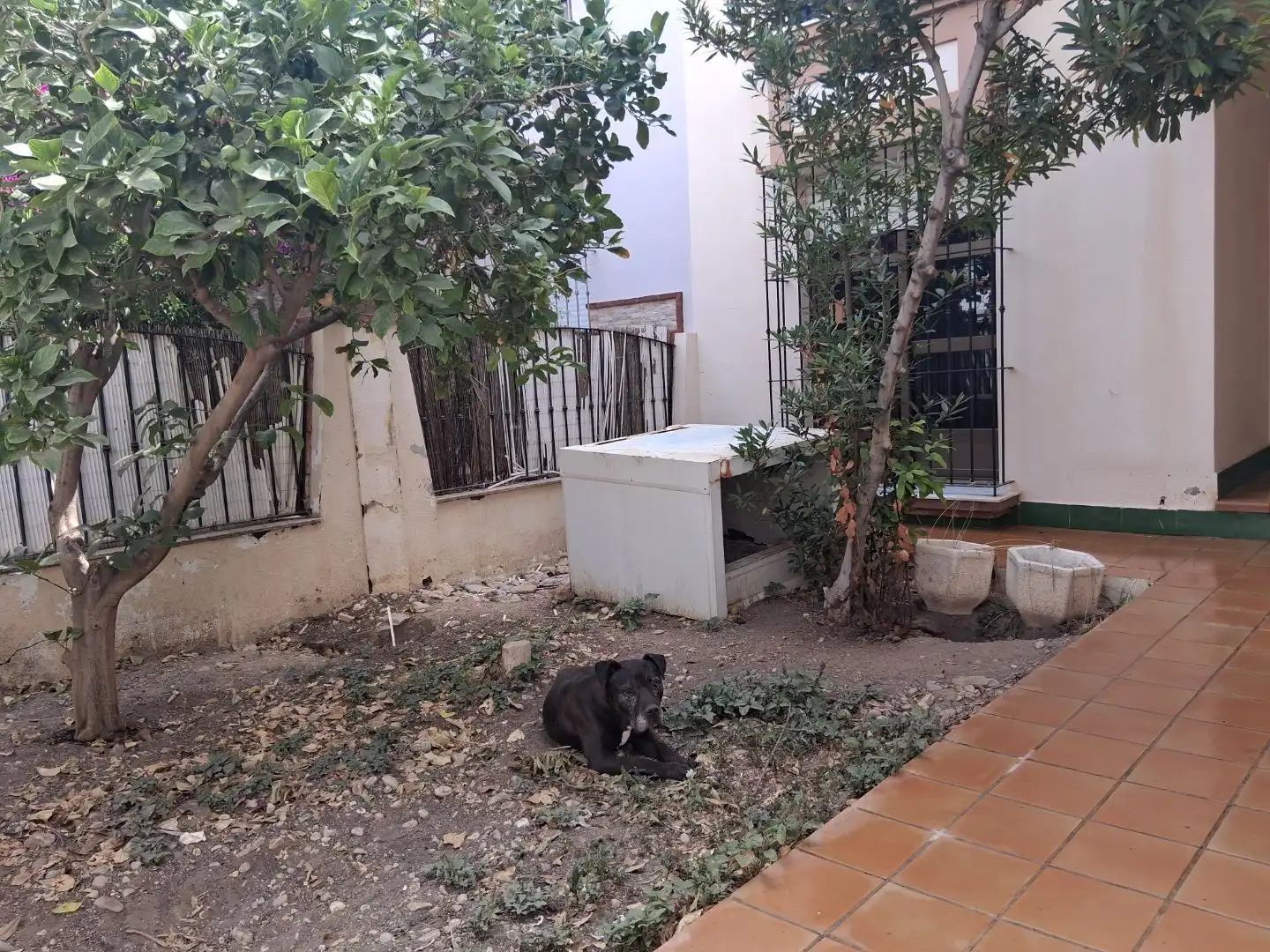 Jardí de Casa o xalet en venda en El Ejido Ciudad