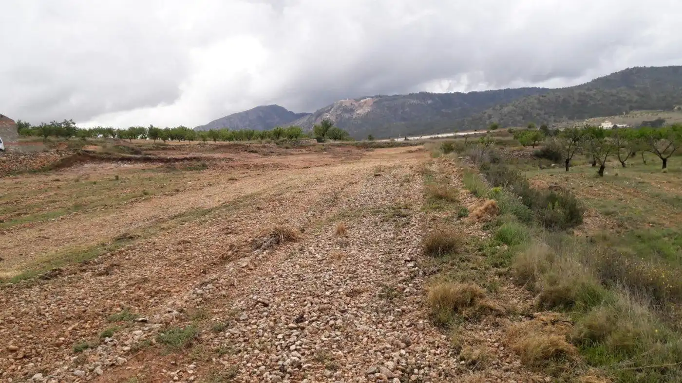 Casa o chalet en venta en Algueña