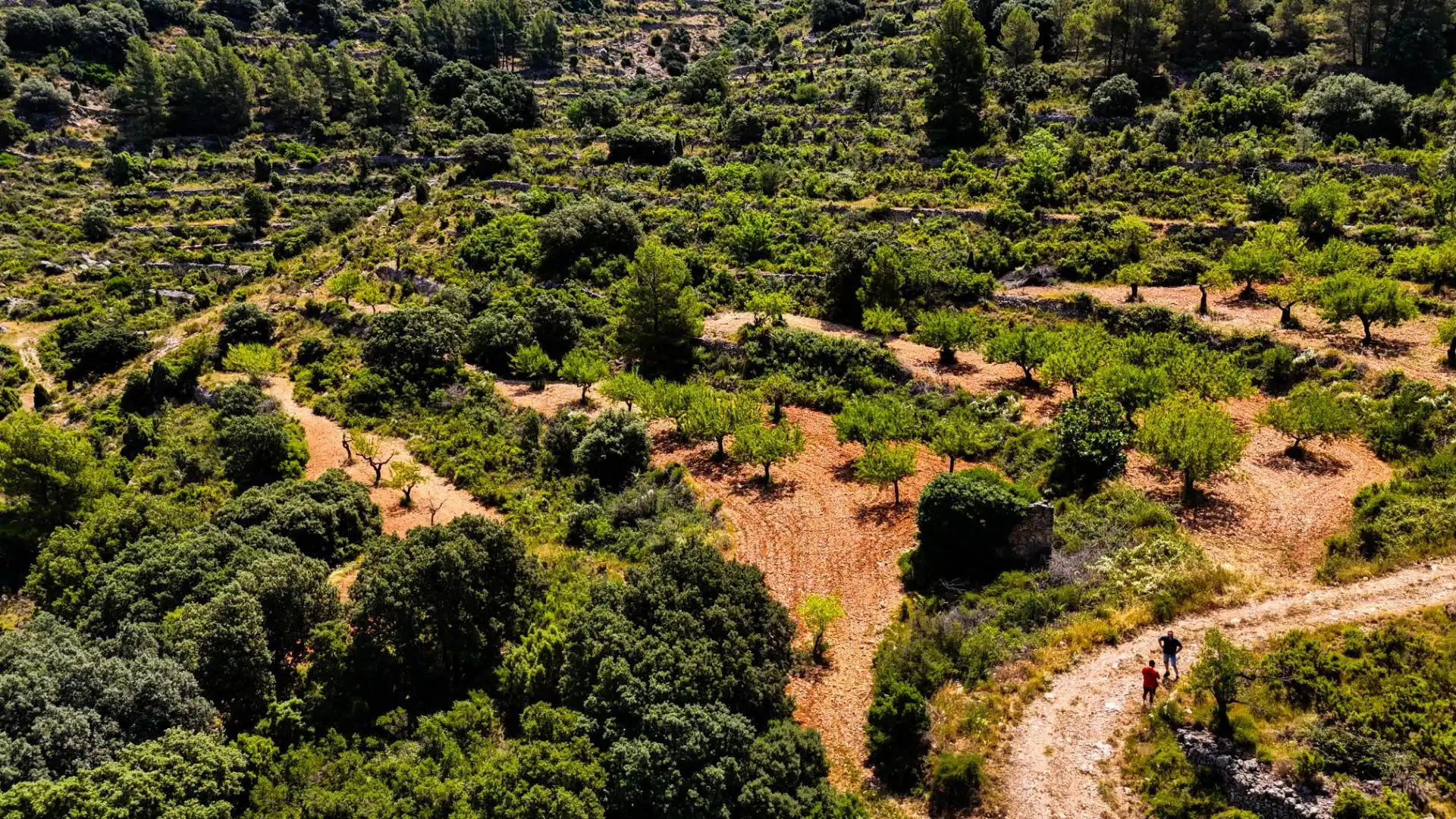 Residencial en venta en Sierra Engarcerán