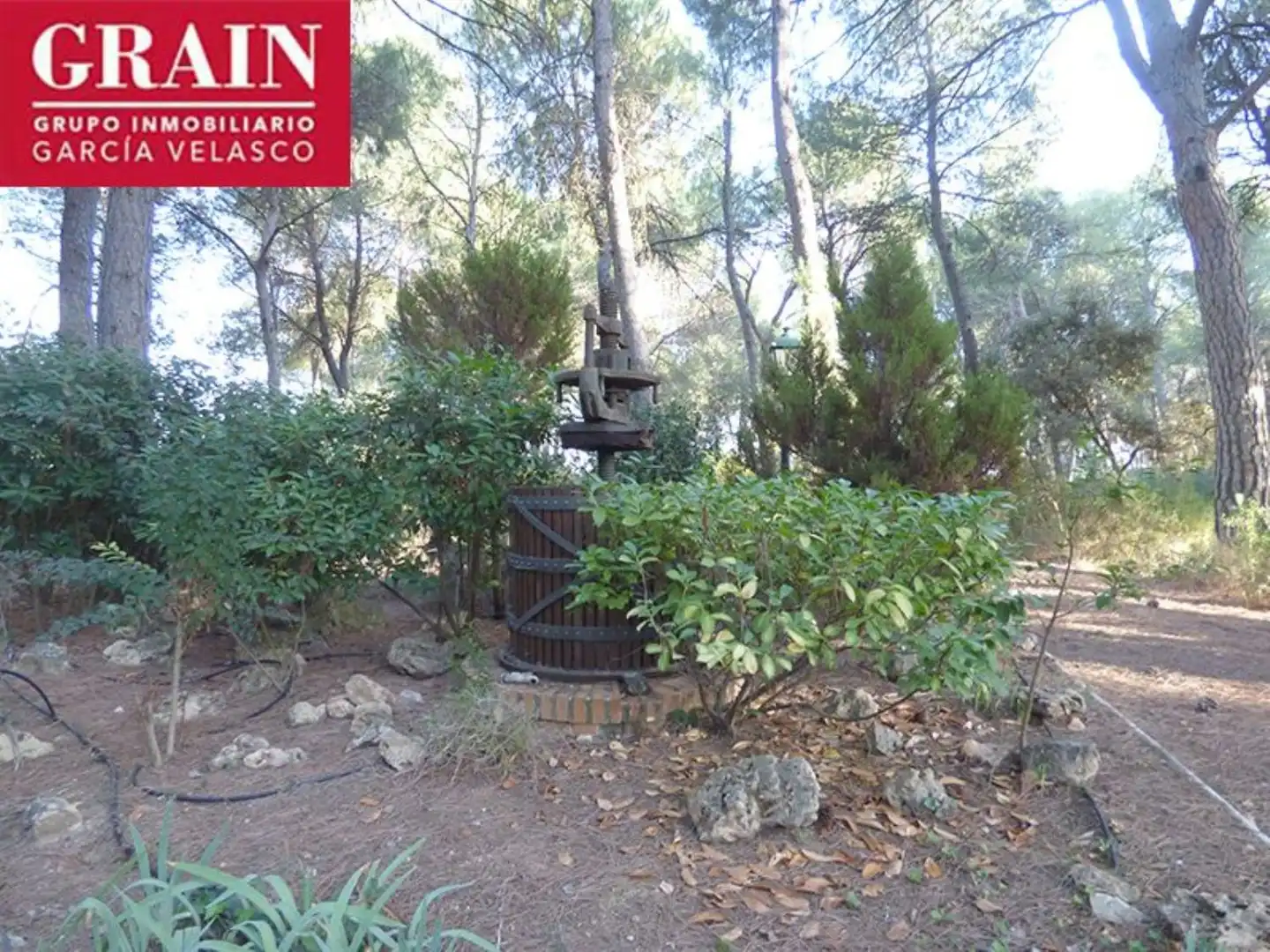 Xalet en venda a Pedanías - Extrarradio, imagen 6