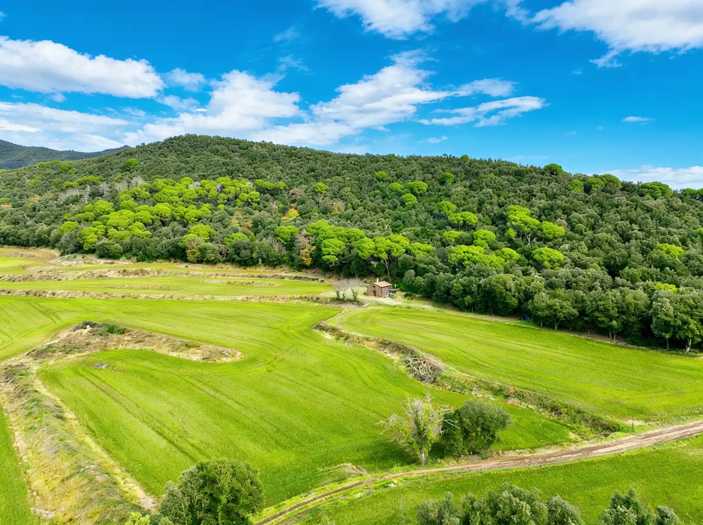 Finca rústica en venda en Sant Martí de Llémena amb Jardí privat