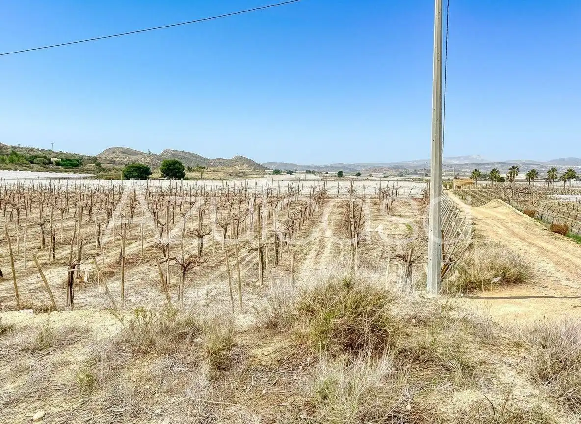 Terreny en venda en Monforte del Cid