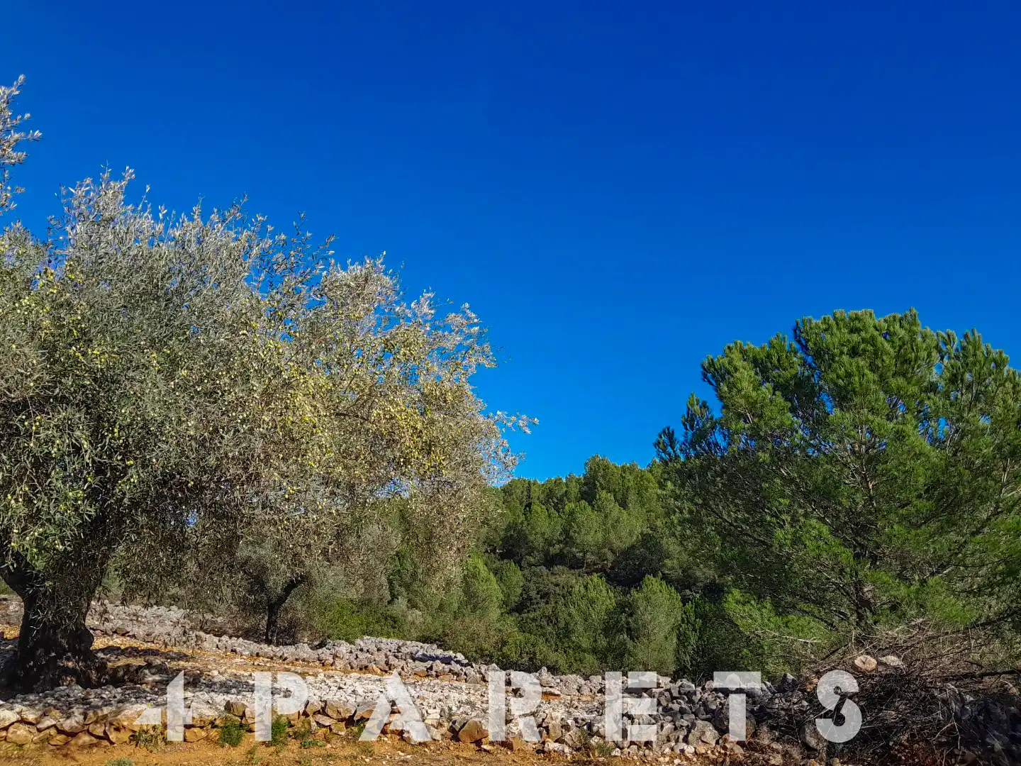 Rural land for sale in Cervera del Maestre, imagen 3