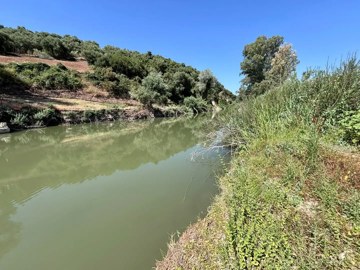 Grundstücke zum Verkauf in Arcos de la Frontera