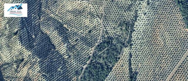 Terreno residencial en Venta en Calle del Polígono Industrial en Villacarrillo