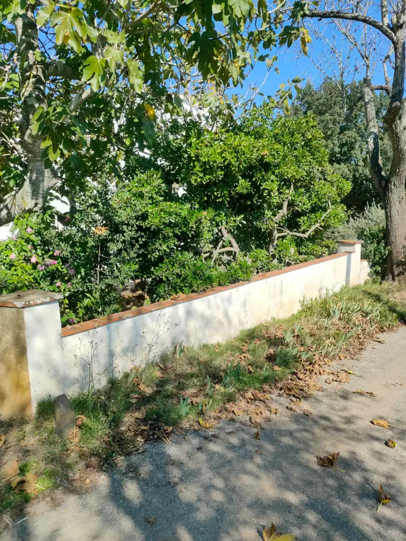 Finca rústica en venta en Mont-ras