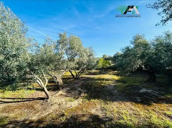 Terreni e lotti in vendita a Baeza, imagen 28