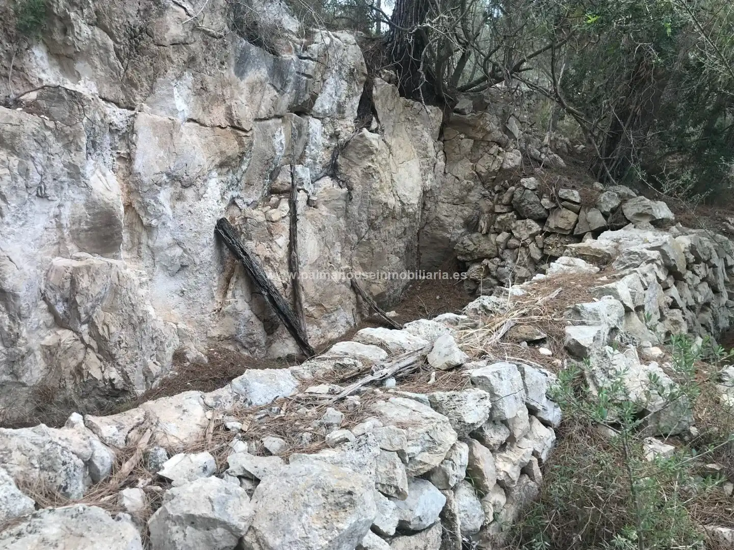 Vista exterior de Finca rústica en venta en Maria de la Salut con Calefacción y Terraza