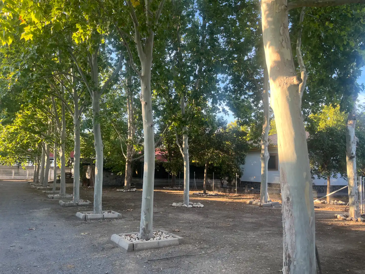 Industrial building for sale in Carretera de Córdoba, imagen 42