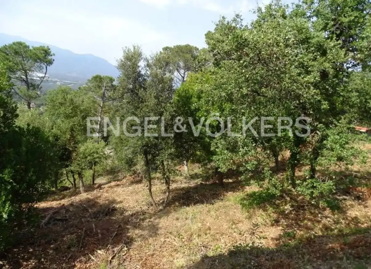 Residential land for sale in Vallgorguina, imagen 4