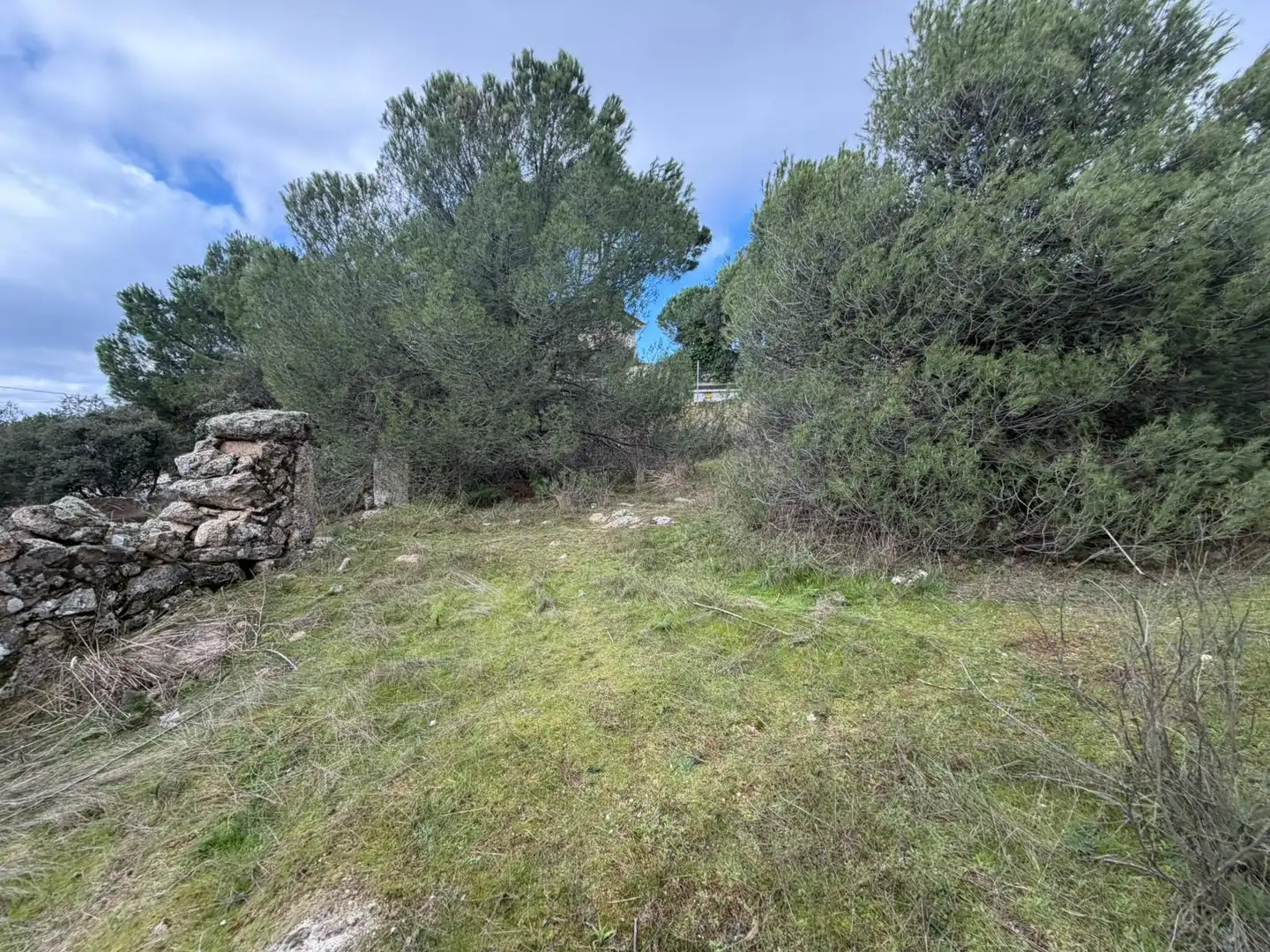 Residencial en venta en Torrelodones