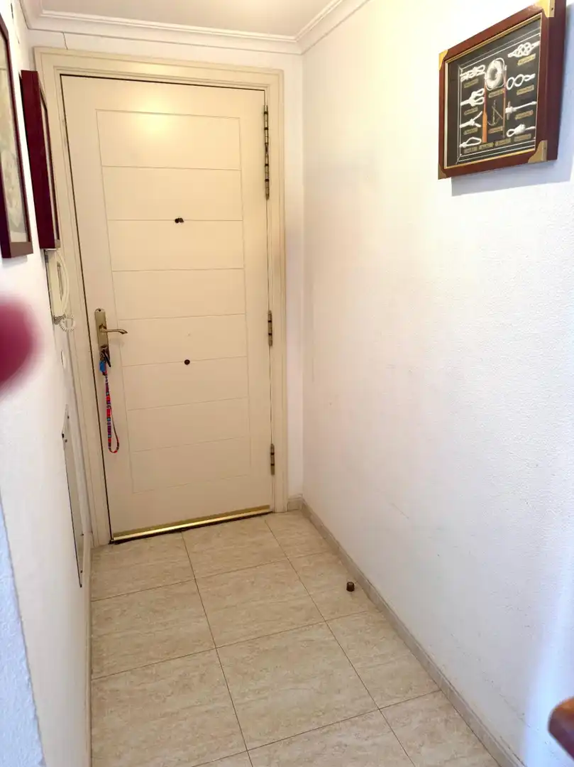 Apartment mit Terrasse zum Verkauf in Zona Levante - Playa Fossa, imagen 38