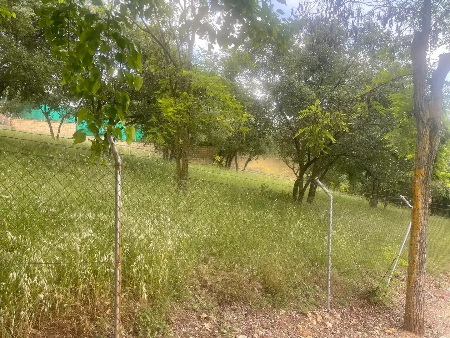Terrain résidentiel à vendre à Calle ALAMO, imagen 10