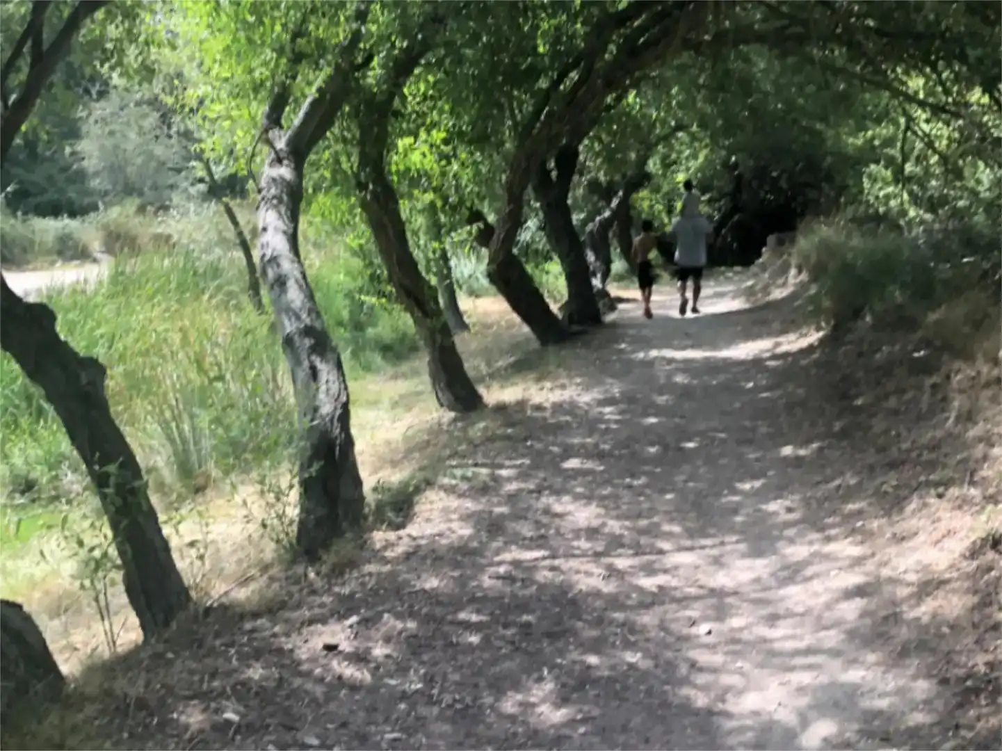 Vista exterior de Dúplex en venda en Pozo Alcón amb Jardí privat, Traster i Moblat