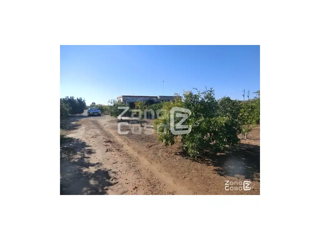 Country house for sale in Algemesí, imagen 3