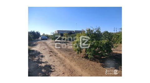 FINCA RUSTICA, imagen 3