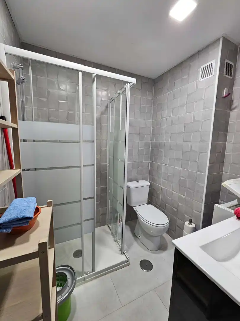 Bathroom of Study for rent in Torremolinos  with Furnished and Pets allowed