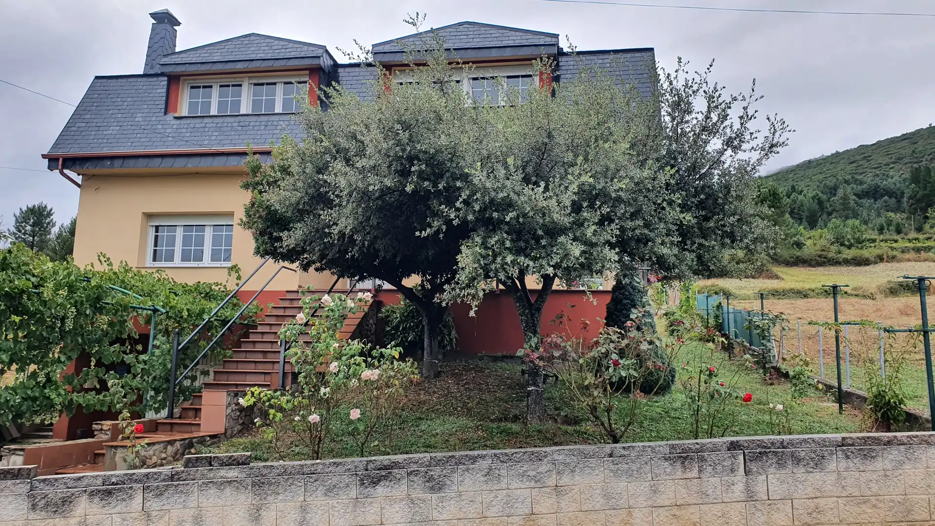 Vista exterior de Casa o chalet en venta en Vega de Espinareda con Calefacción, Jardín privado y Terraza