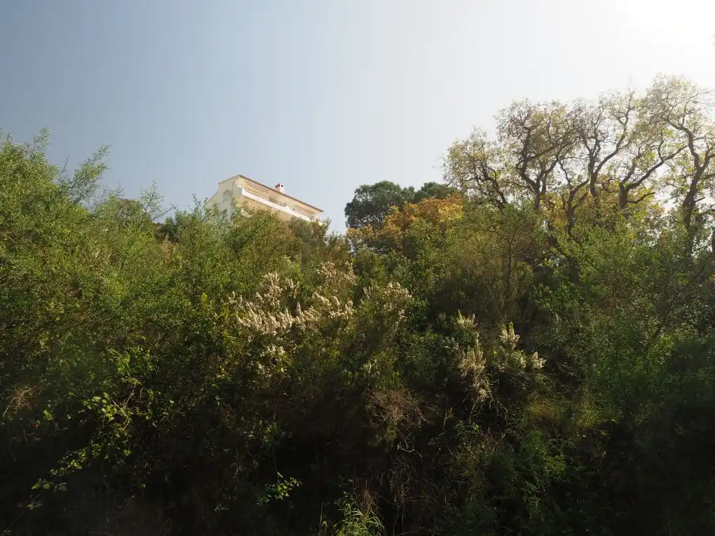 Terreny residencial en venda a Carrer de Marià Aguiló, imagen 3