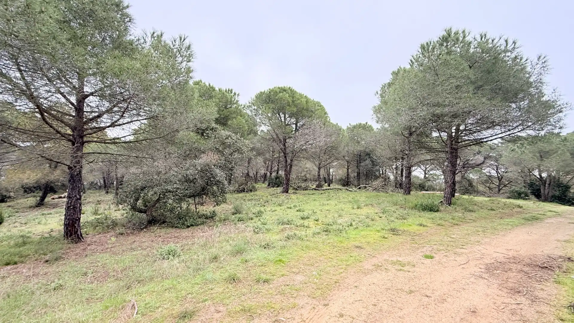 Terreno en venta en Palamós