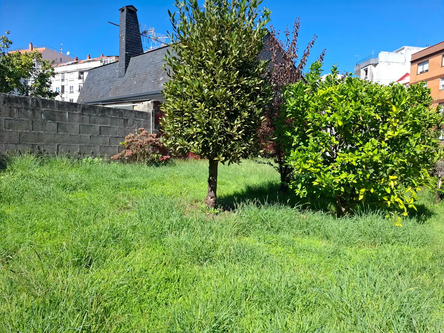 Casa bifamiliare con giardino in vendita a Rúa do Doutor Carracido, imagen 7