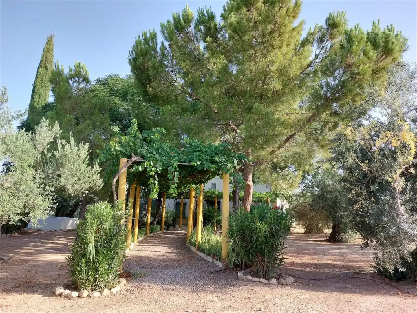 Garten von Country house zum Verkauf in Alcaudete