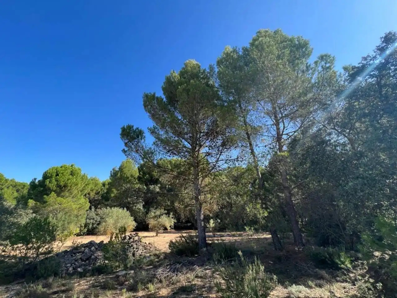 Chalet en venta en Banyeres de Mariola, imagen 23
