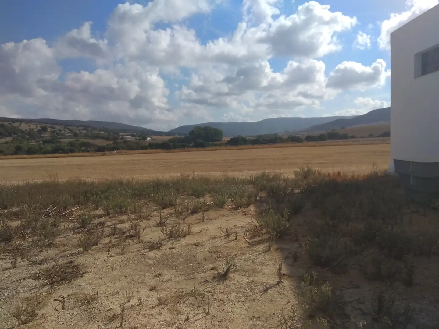 Terrenos y solares en venta en Gibraleón, imagen 9