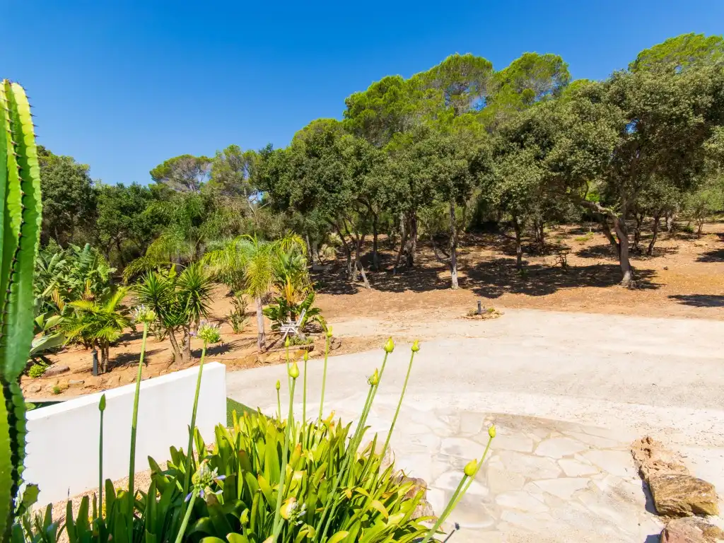 Casa rústica con piscina en venta en Es Mercadal poble, imagen 13